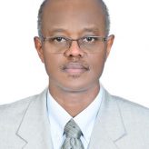 Dr. Ibrahim M. Abdalla Alfaki, United Arab Emirates University, UAE