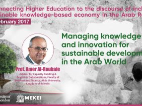 role of higher education  Amer