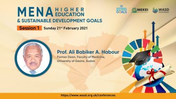 Problems facing Sudan in achieving SDG4 – Professor Ali Babiker Ali Habour