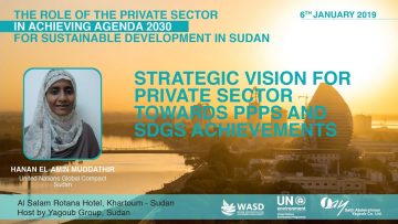 Strategic vision for private sector towards PPPs and SDGs achievements
